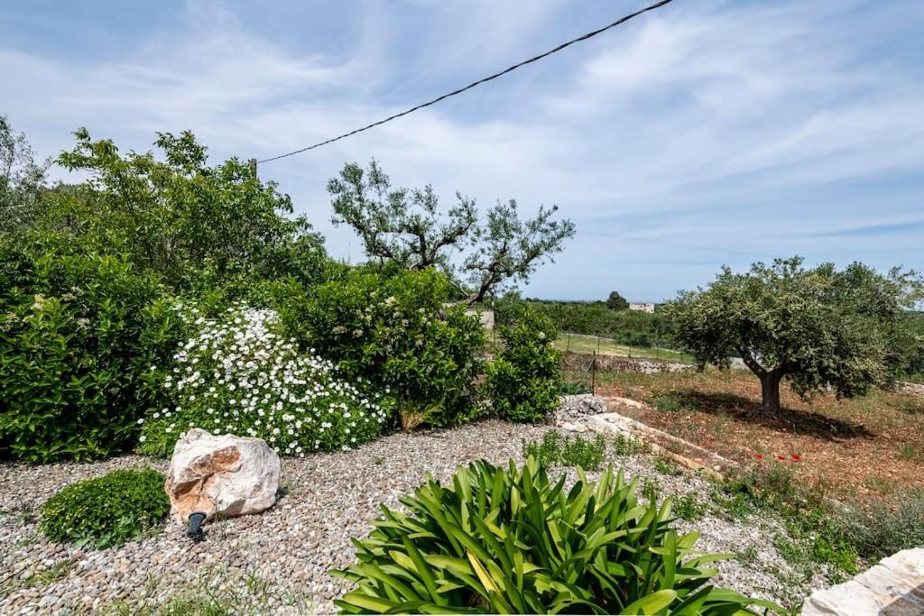 Trullo Oasi Santo Stefano - Private Pool Villa Castellana Grotte Dış mekan fotoğraf